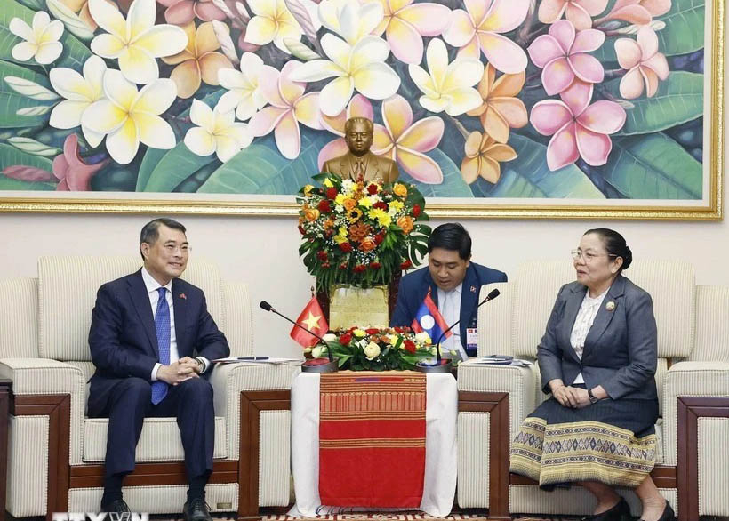 Viet Nam, Laos strengthen cooperation in Party organisation affairs
