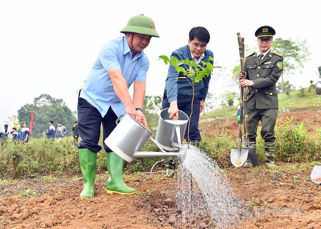 Tuyen Quang launches 2026 Tree-Planting Festival