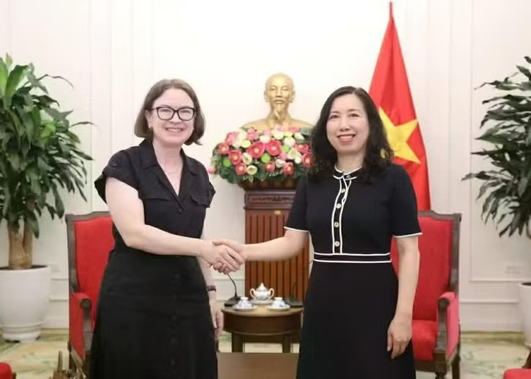 Viet Nam, Ireland seek ways to step up bilateral cooperation